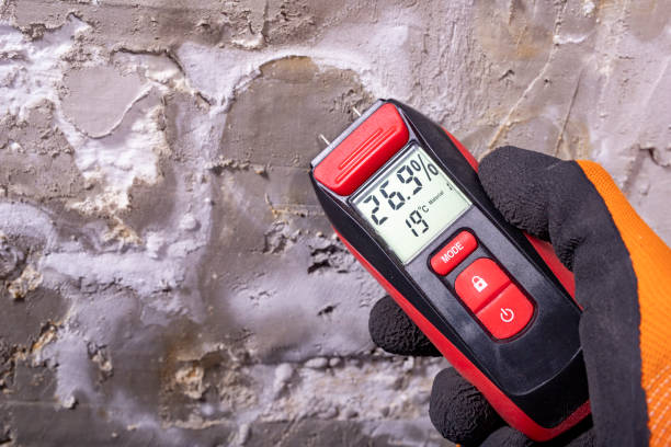 Best Mold Remediation Services  in West Liberty, OH