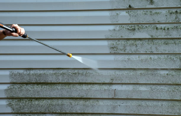 Professional Mold Removal in West Liberty, OH